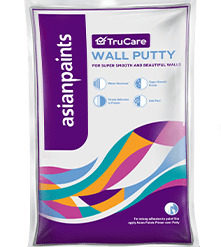 Primer and Wall Putty