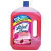 Lizol Disinfectant Surface And Floor Cleaner Liquid,Floral- 2L